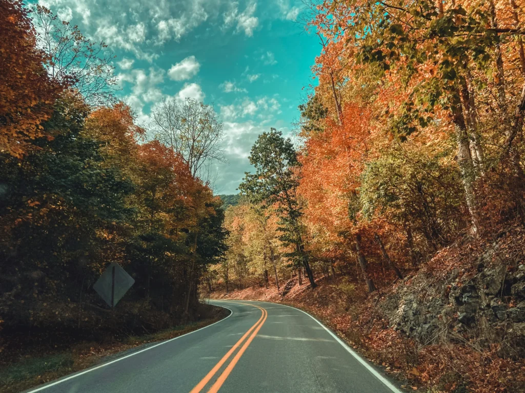 Take a Scenic Fall Road Trip