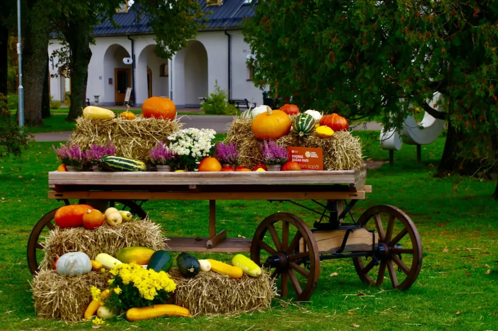 Attend a Fall Festival