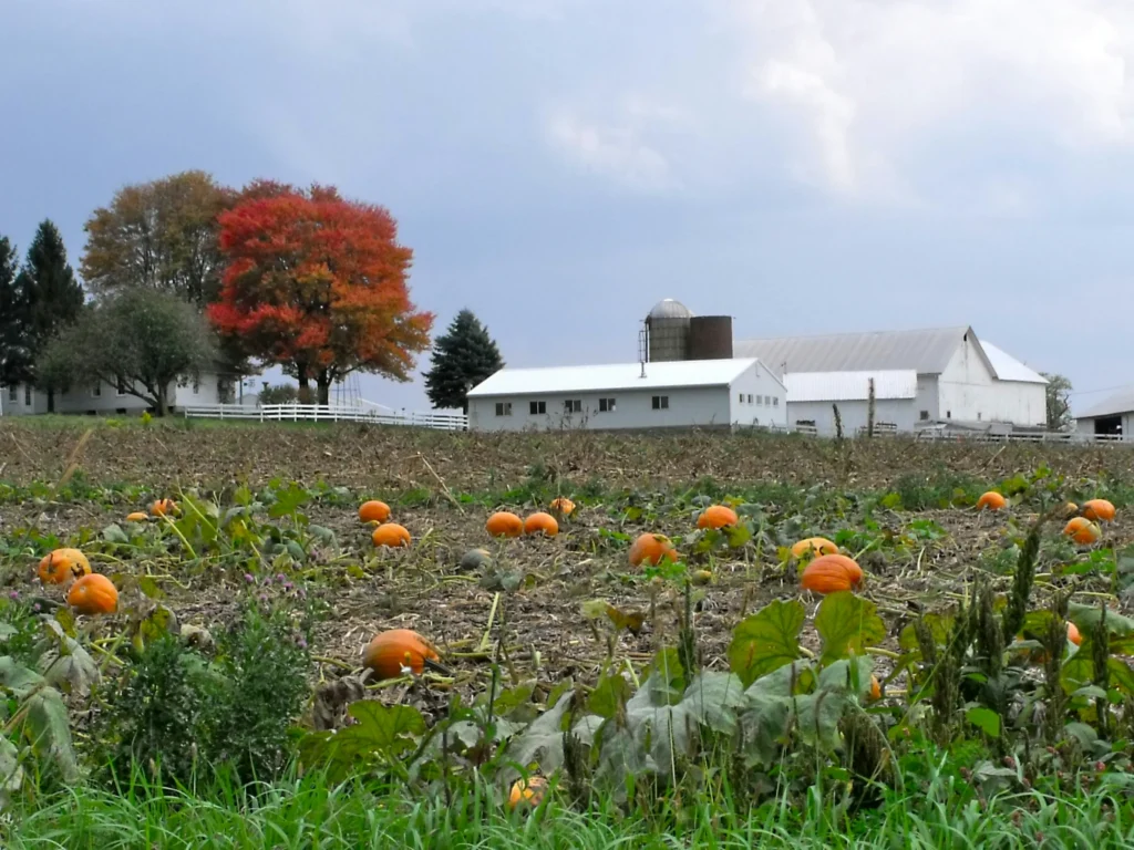 Explore Farms, Orchards, and Pumpkin Fields