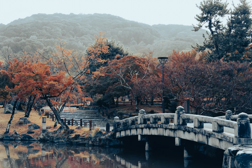 Japan – Kyoto’s Arashiyama and Nara Park