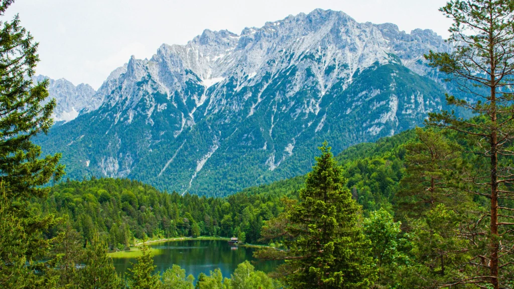 Germany – Bavaria’s Forest Drives and Oktoberfest
