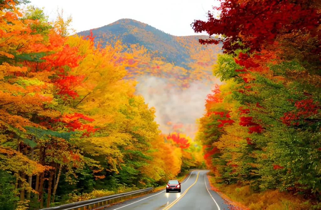 Planning the Perfect Fall Foliage Road Trip