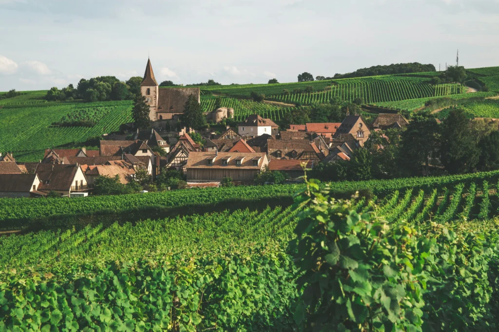 France – Alsace Wine Route