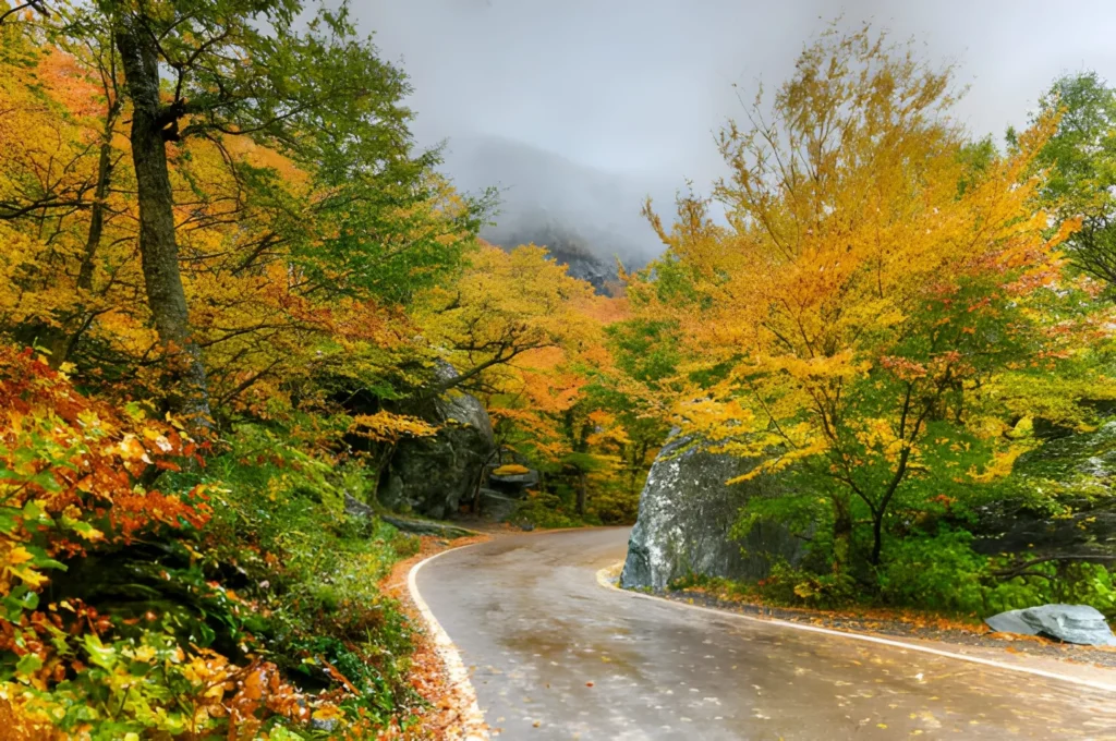 Route 108 – Smugglers’ Notch Pass