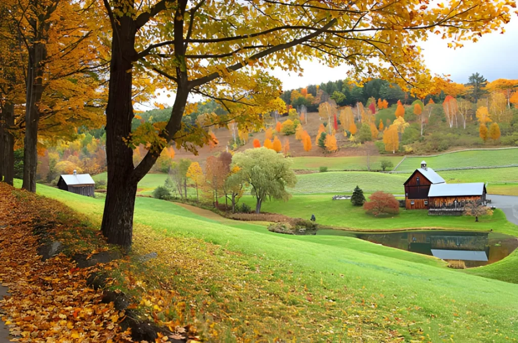 Stowe to Woodstock, VT