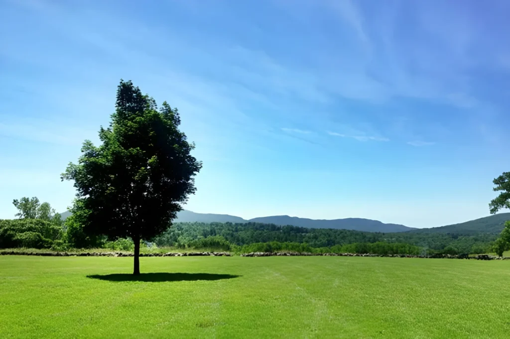 Southern Vermont to the Berkshires, MA