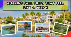 Amazing Fall Trips That Feel Like a Dream