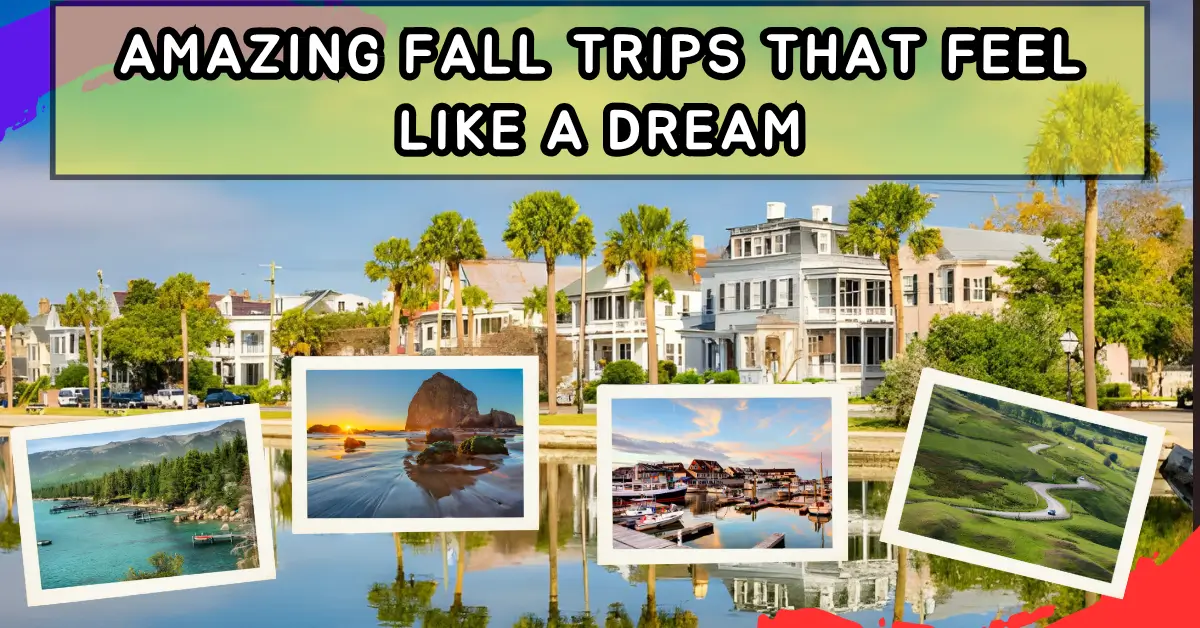 Amazing Fall Trips That Feel Like a Dream
