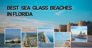 Best Sea Glass Beaches in Florida