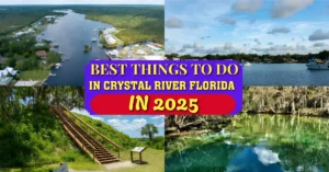 Best Things to Do in Crystal River Florida in 2025