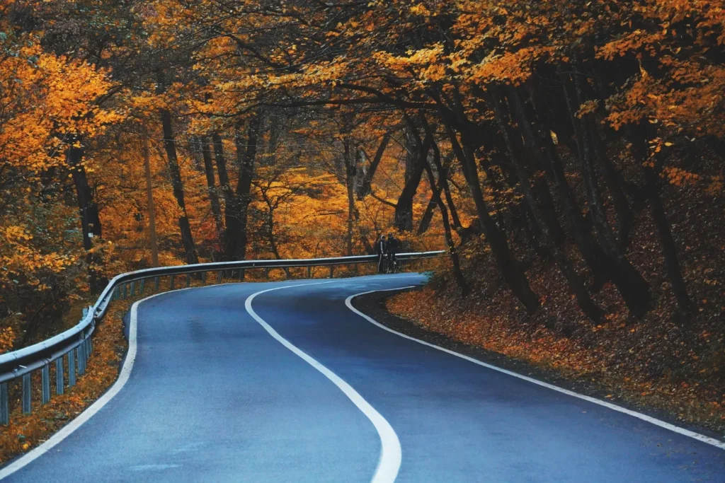 Take a Fall Foliage Road Trip