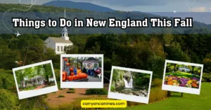 Things to Do in New England This Fall